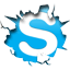  Skype