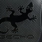 gecko relieve Gecko a todo color y relieve
