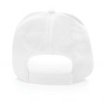 p453.333__b_4 p453.333__b_4