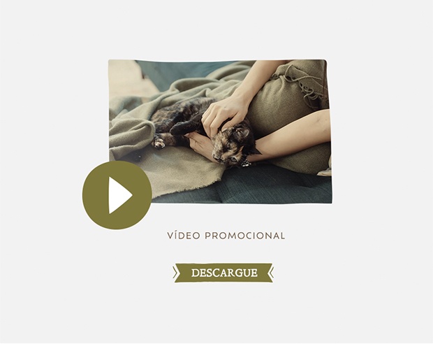 Lichtenstein blanket - video