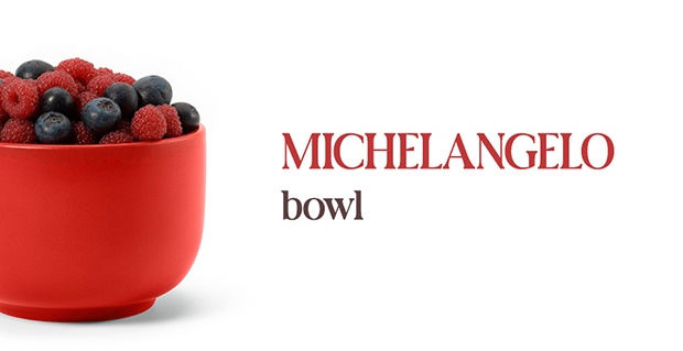 Michelangelo bowl