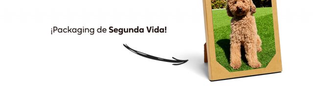 Ideas que brillan - páginas que inspiran - embalaje de segunda mano Ideas que brillan - páginas que inspiran - embalaje de segunda mano