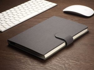 225135801_main2 225135801_main2