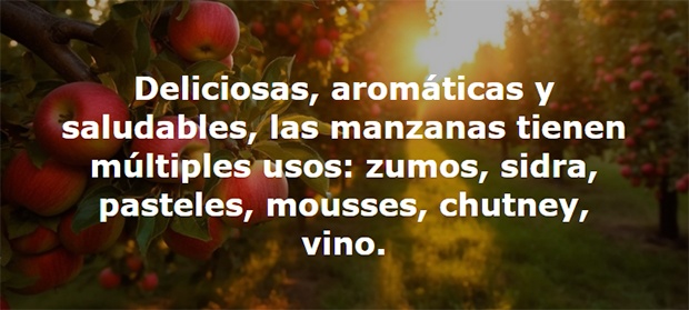 Disculpe, ¿dónde está mi equipaje?