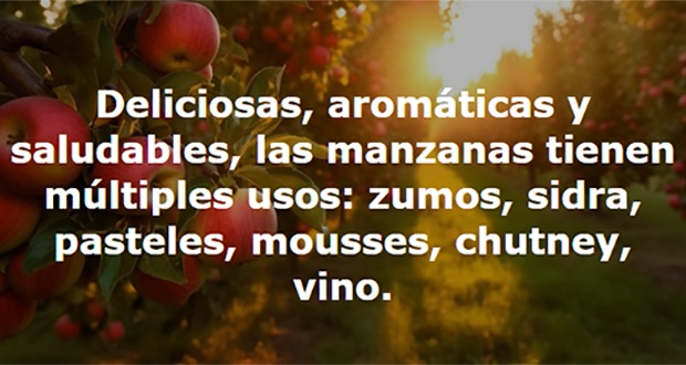 Disculpe, ¿dónde está mi equipaje?