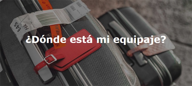 ¿Donde está mi equipaje?