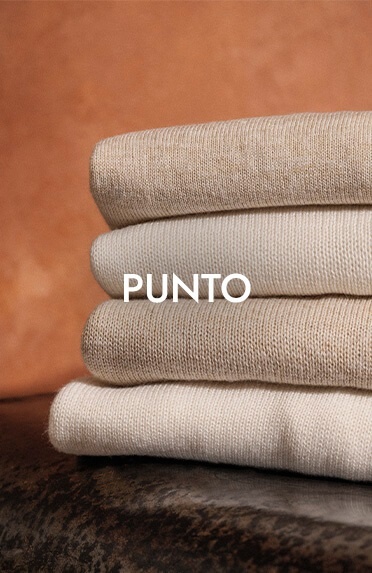 Punto