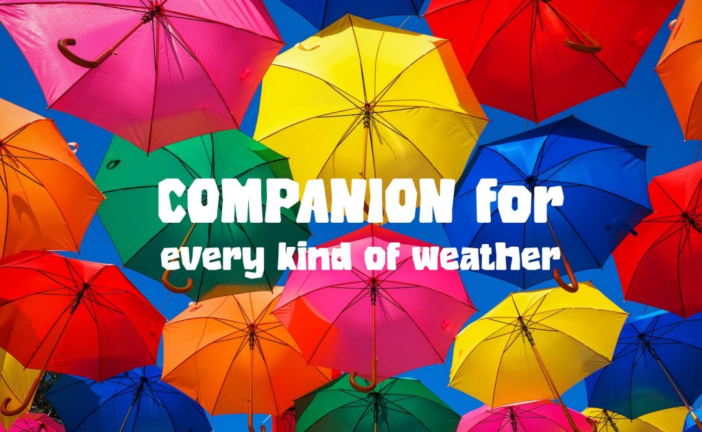 banner_umbrellas
