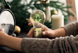 A Seasonal Touch