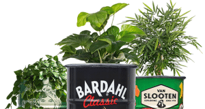 Elegante y funcional: El barril botánico