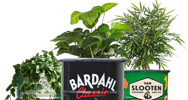 Elegante y funcional: El barril botánico