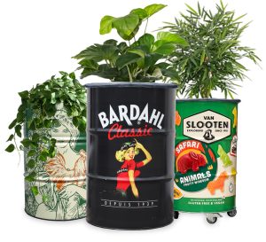 botanical_barrels_(1) botanical_barrels_(1)