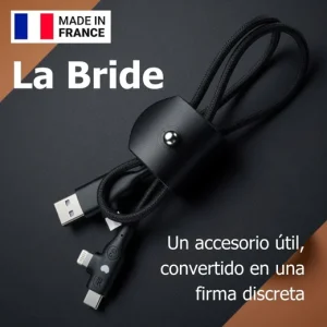 Bride_ESP