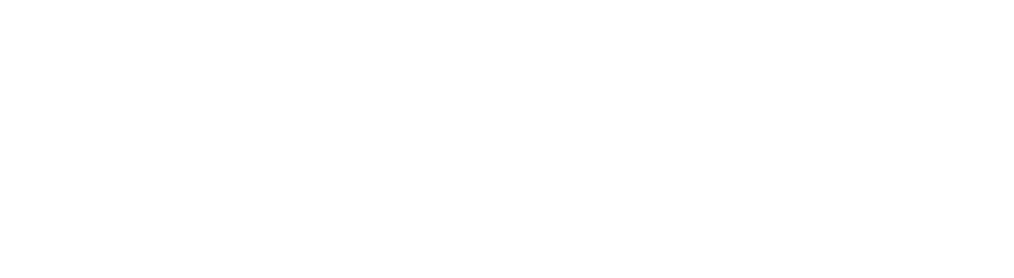 veya_logo_white
